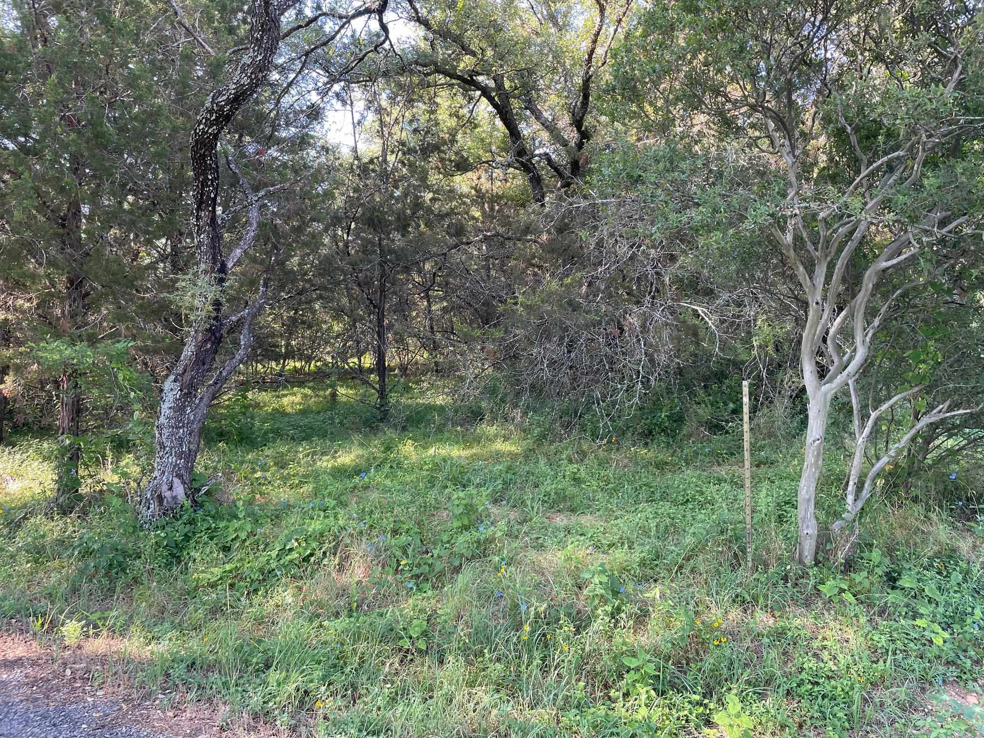 Lot 423 Indian Summer, Spicewood