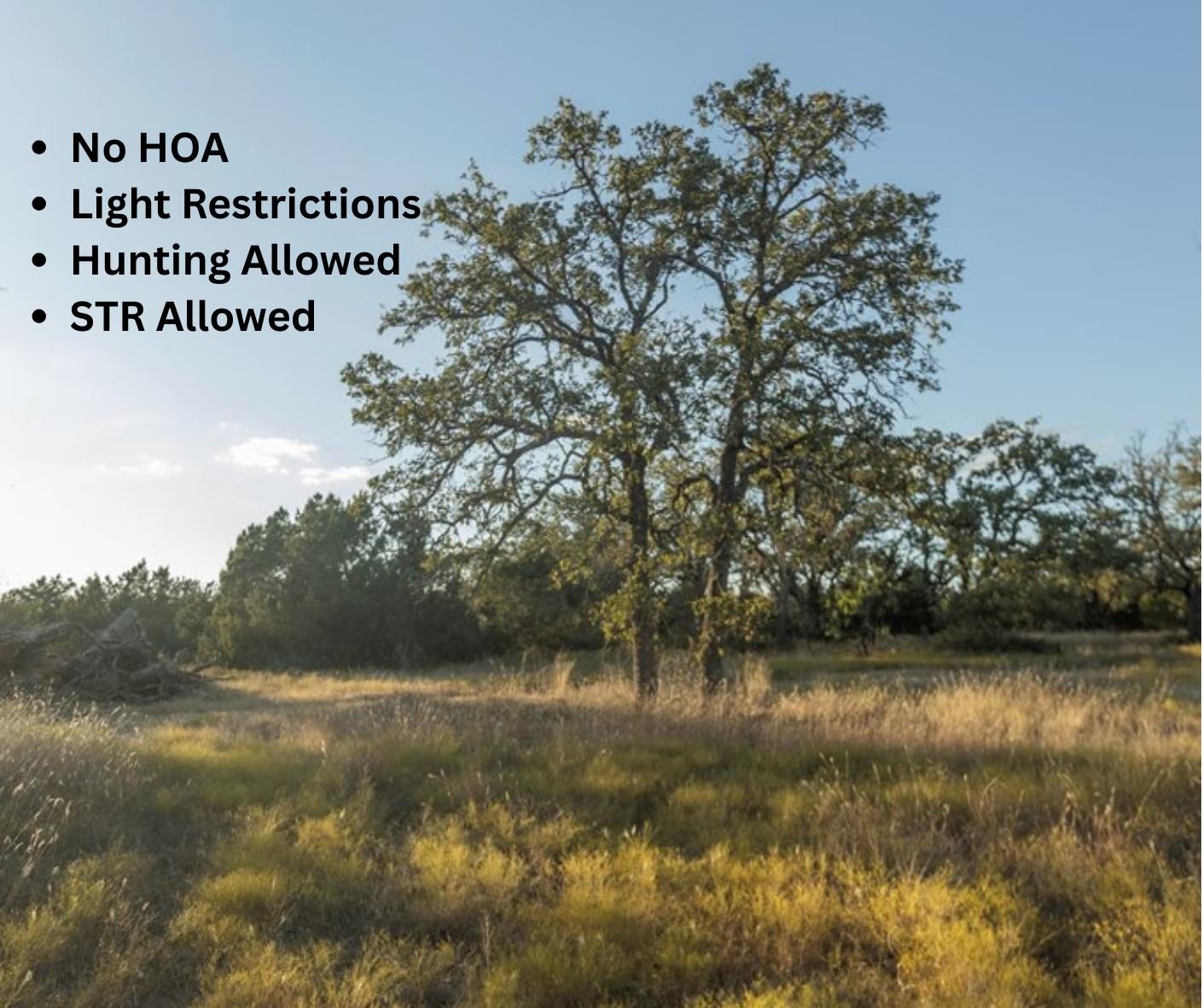 TBD Herbert Schaefer, Fredericksburg