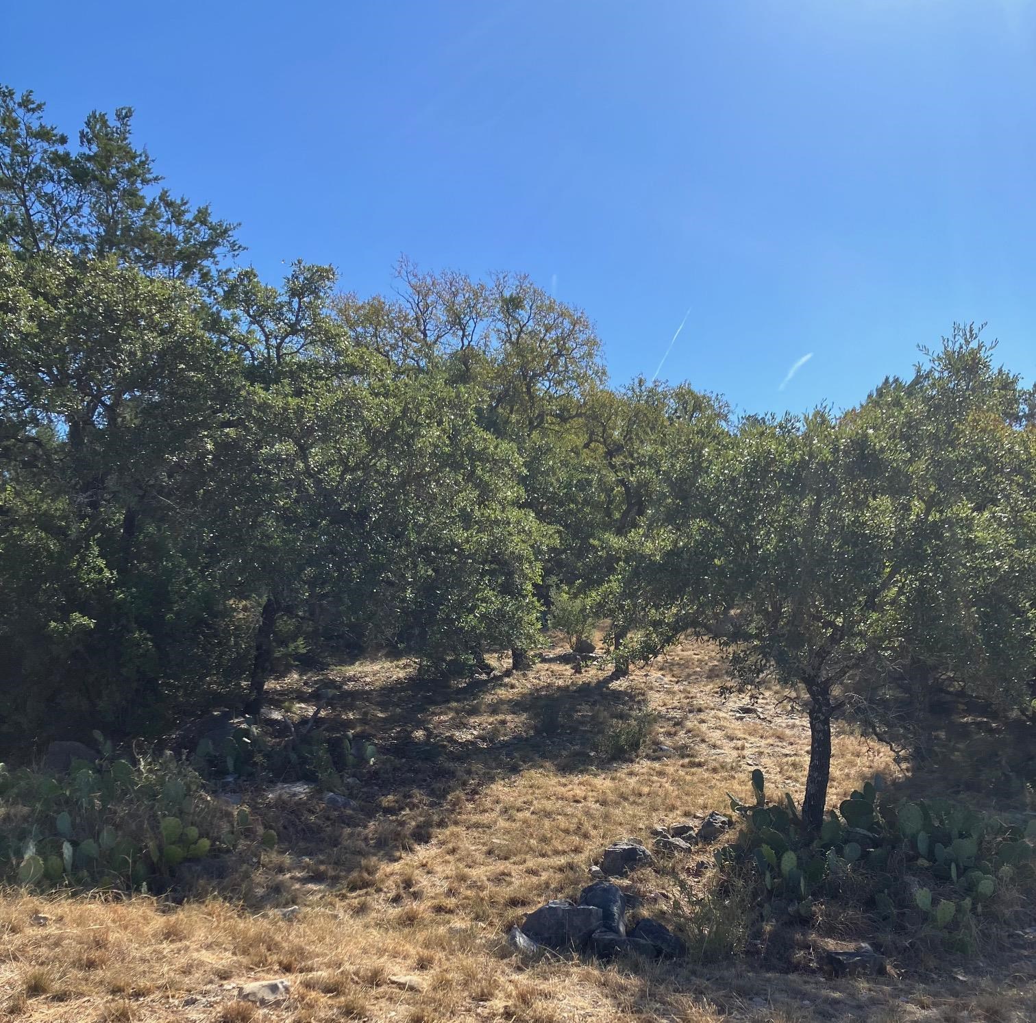 405 Yucca at Quick Draw, Horseshoe Bay