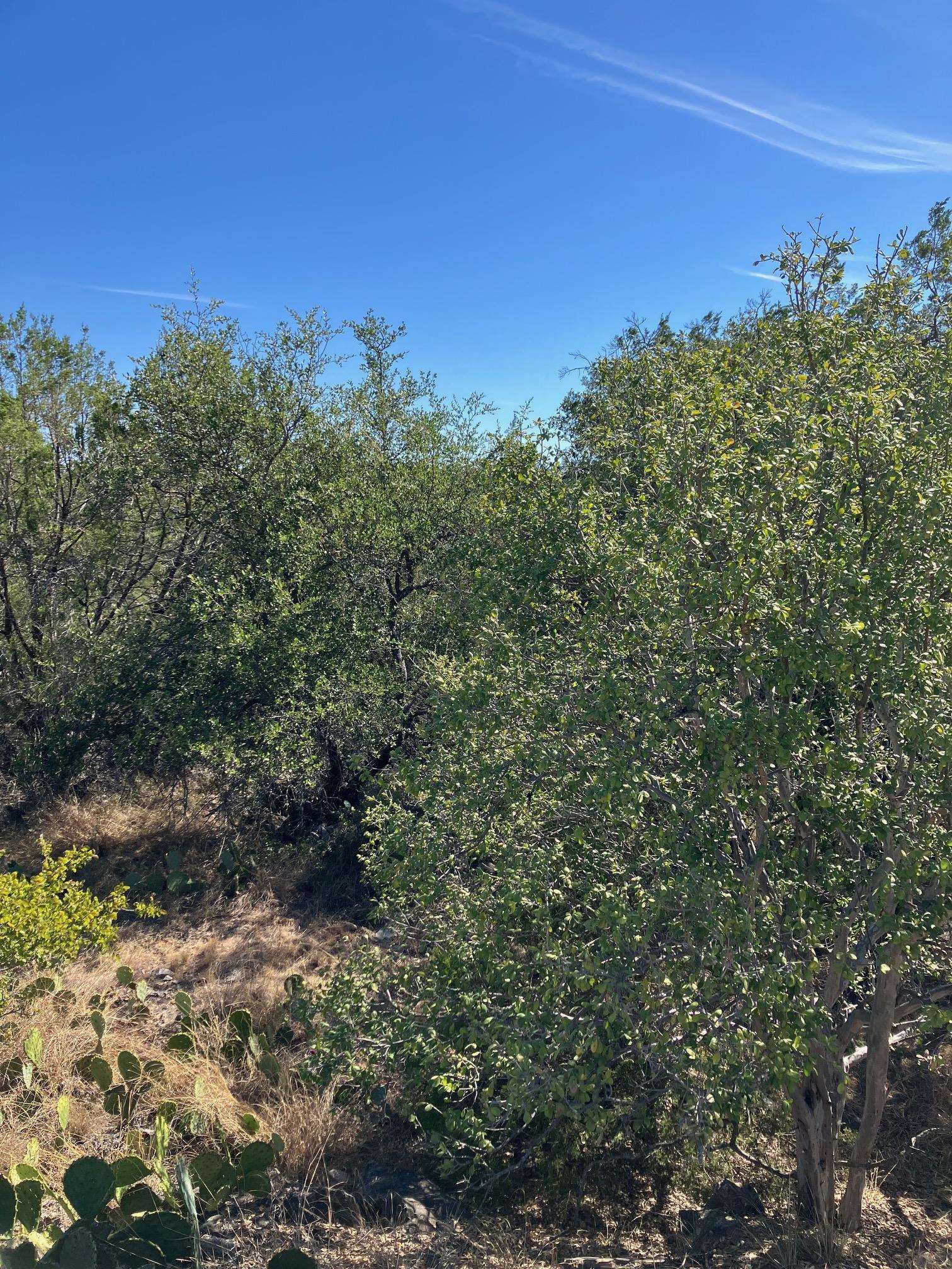 700 Pinto, Horseshoe Bay