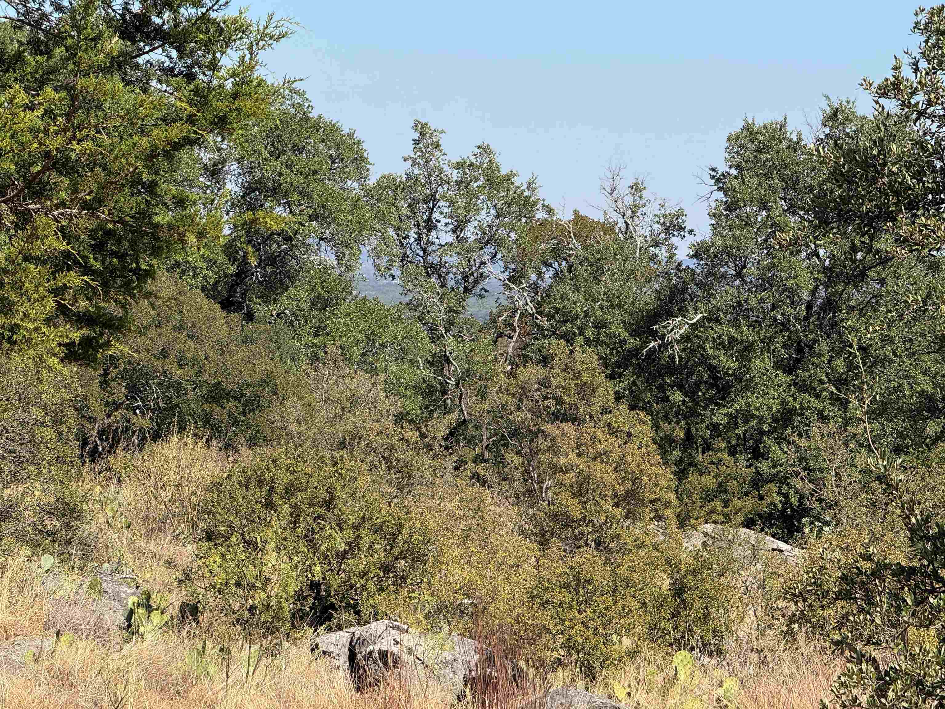 29022 Paiute, Horseshoe Bay