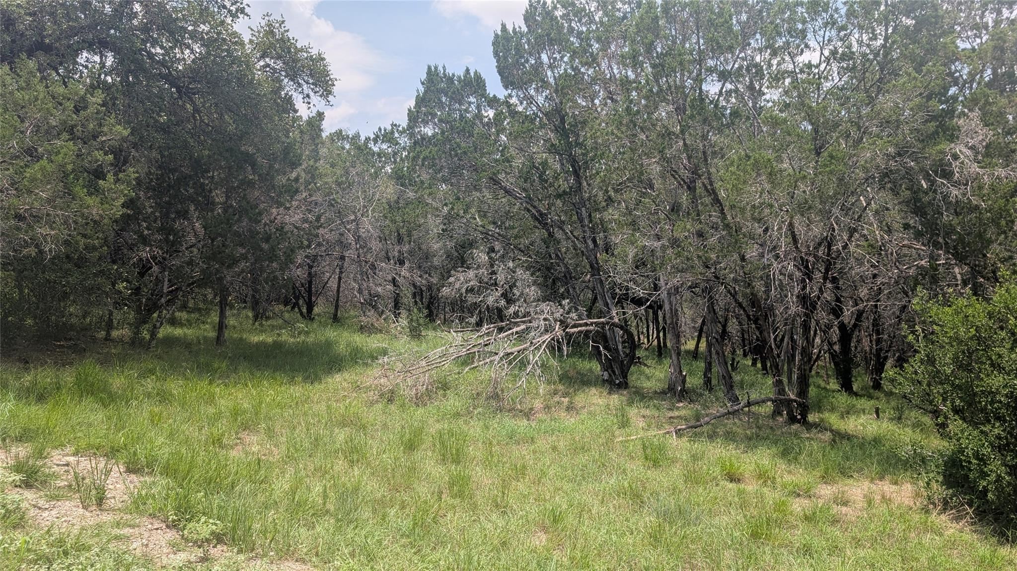 1109 Ponderosa Bnd, Horseshoe Bay