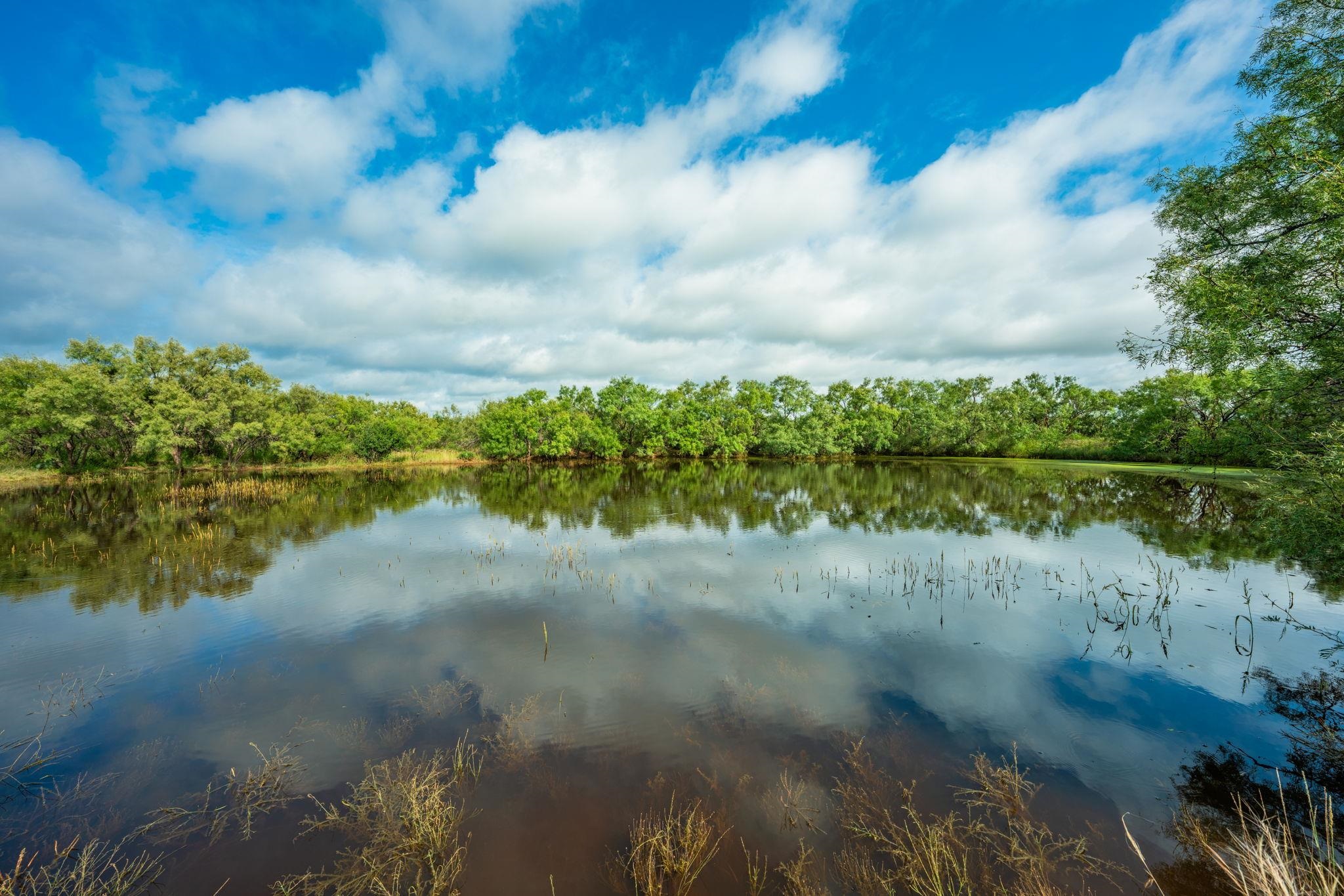 7602 County Road 113, Llano