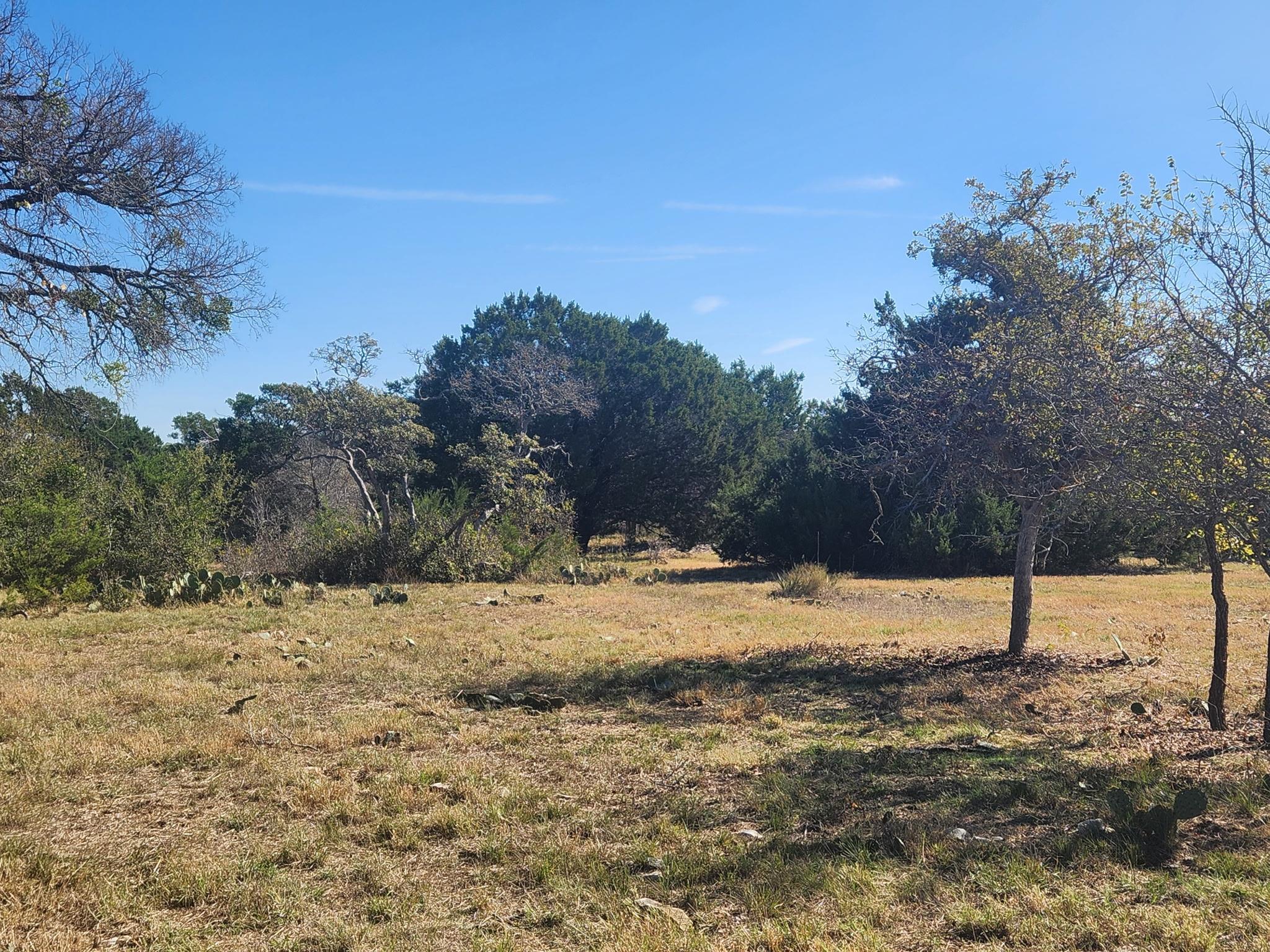 Lot 30 Riparian Elm, Bertram