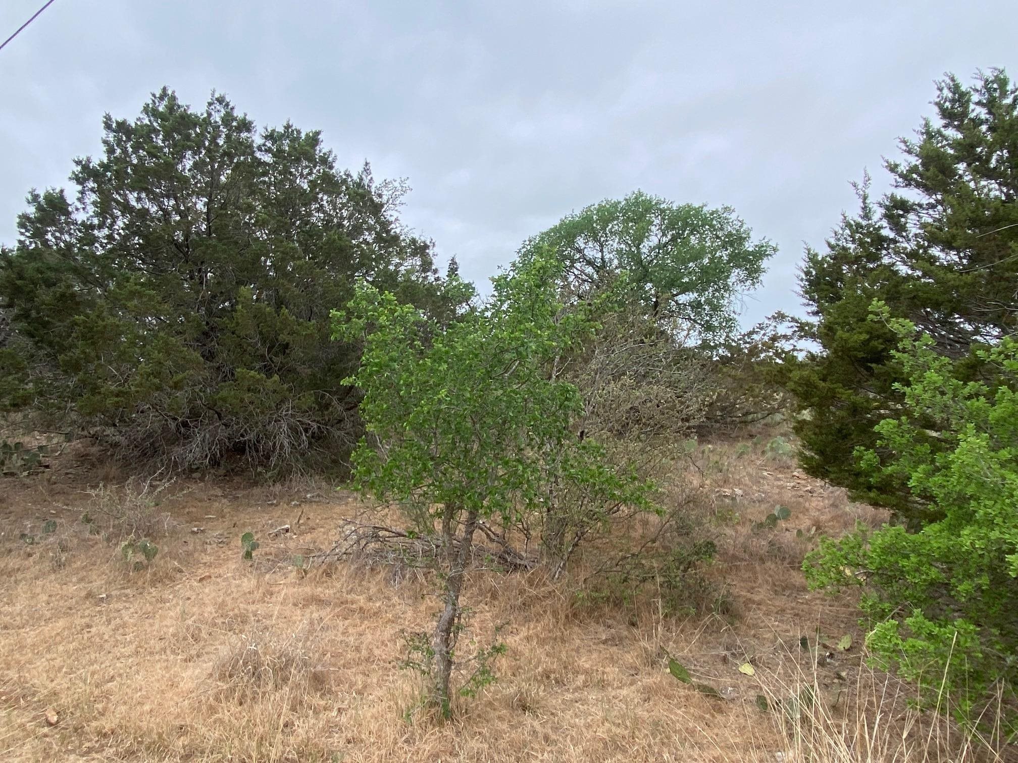 Lot 22 CR 140, Burnet