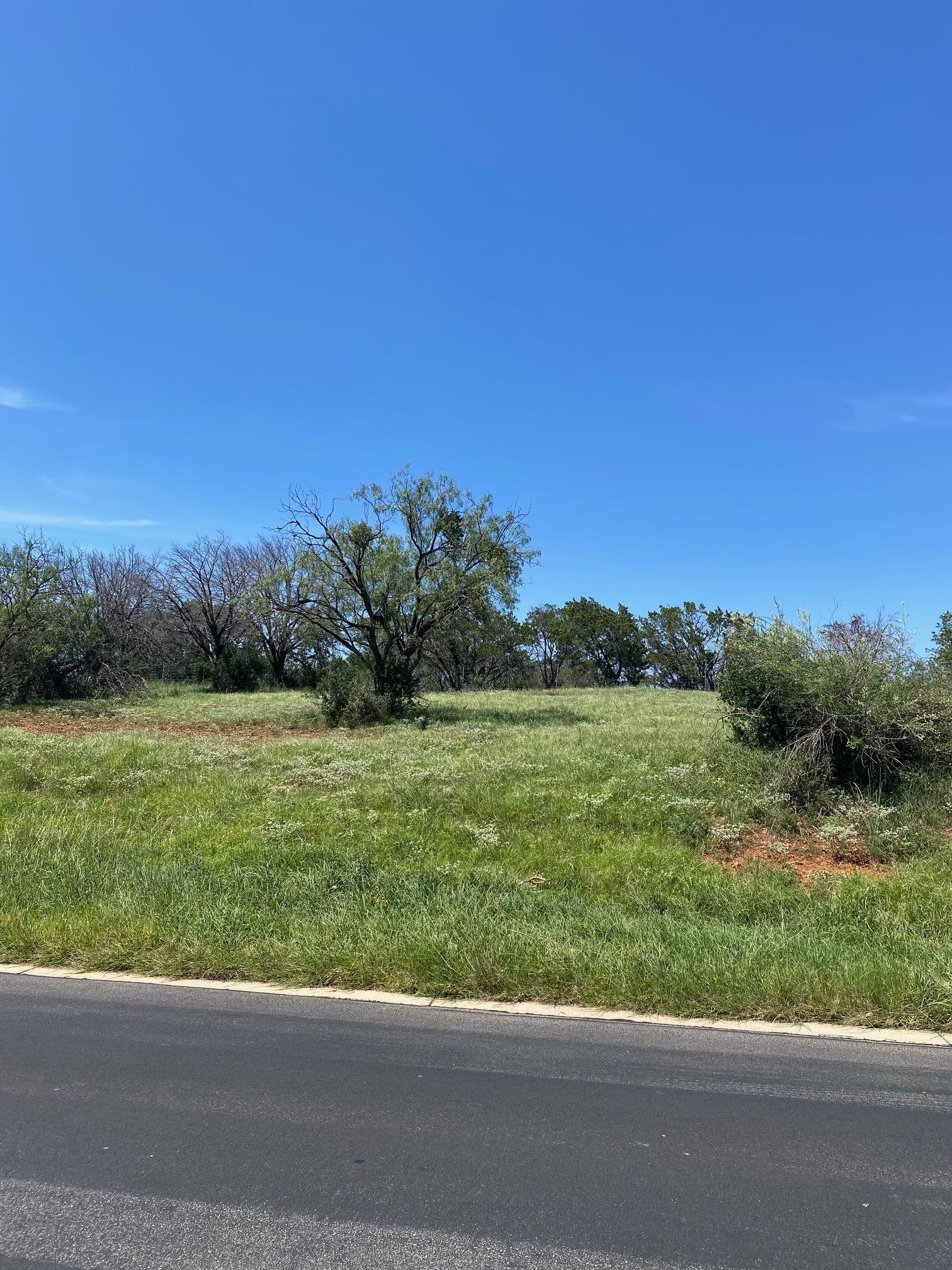 W25004 Apache Tears, Horseshoe Bay