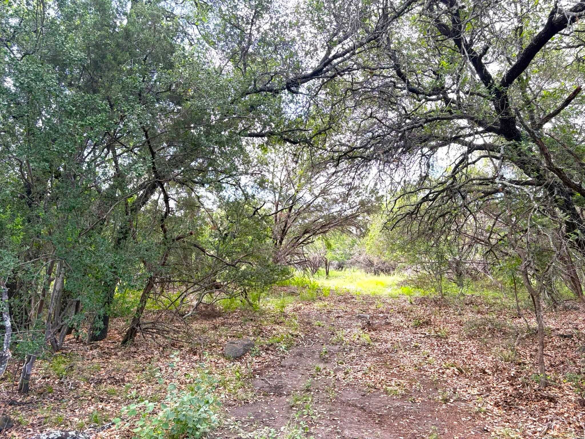 380 Sandy Mountain Dr, Sunrise Beach