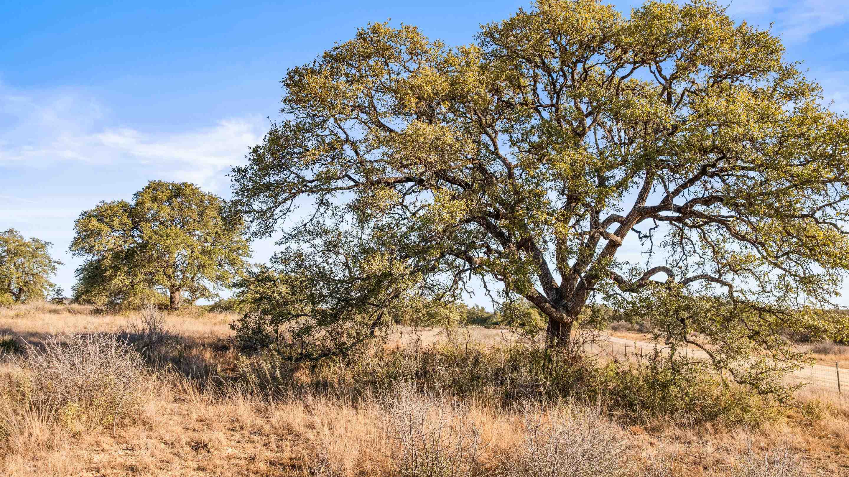 1422-17 RM 2766, Johnson City