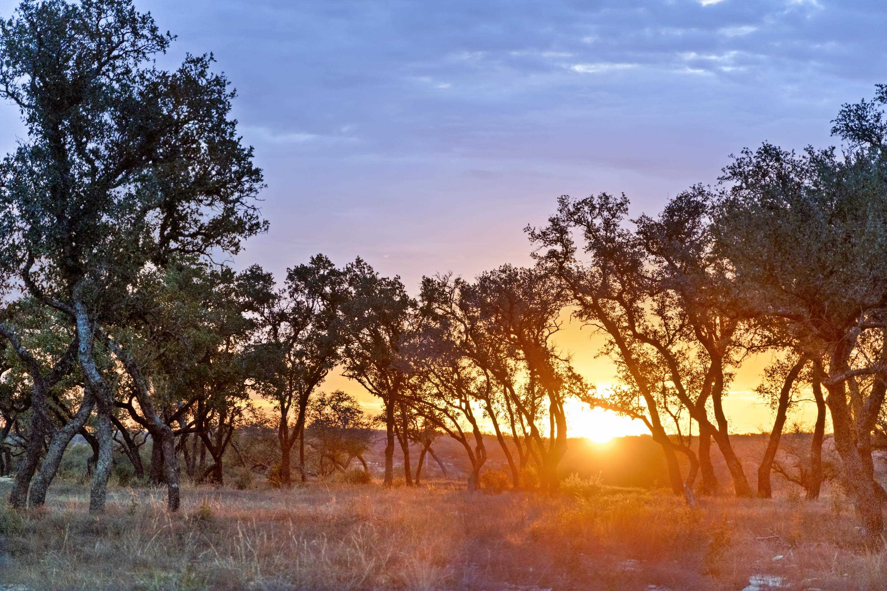 1422-33 RM 2766, Johnson City