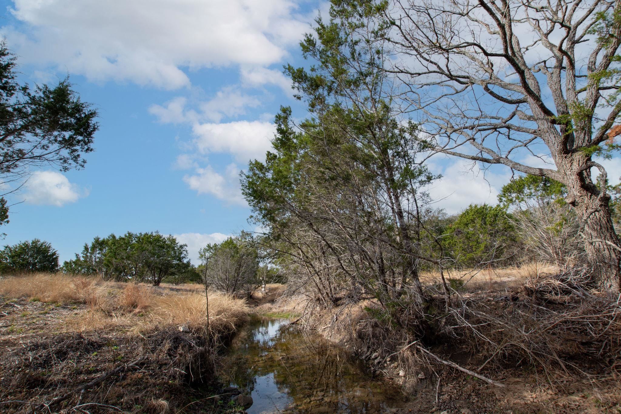TBD BURNET OAKS LOT 20, Burnet